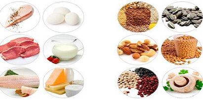 Makan produk protein untuk penurunan berat badan
