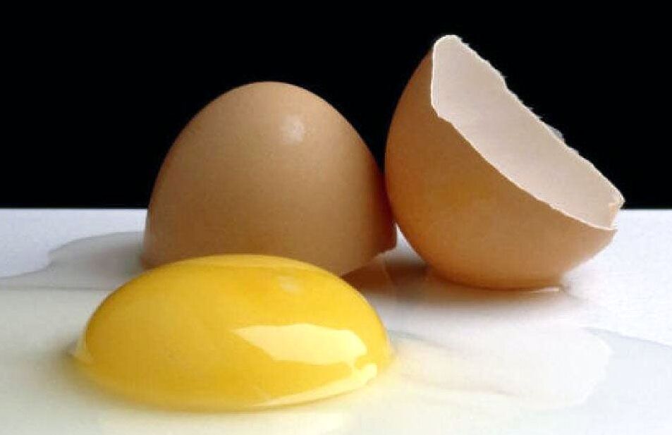 telur untuk penurunan berat badan